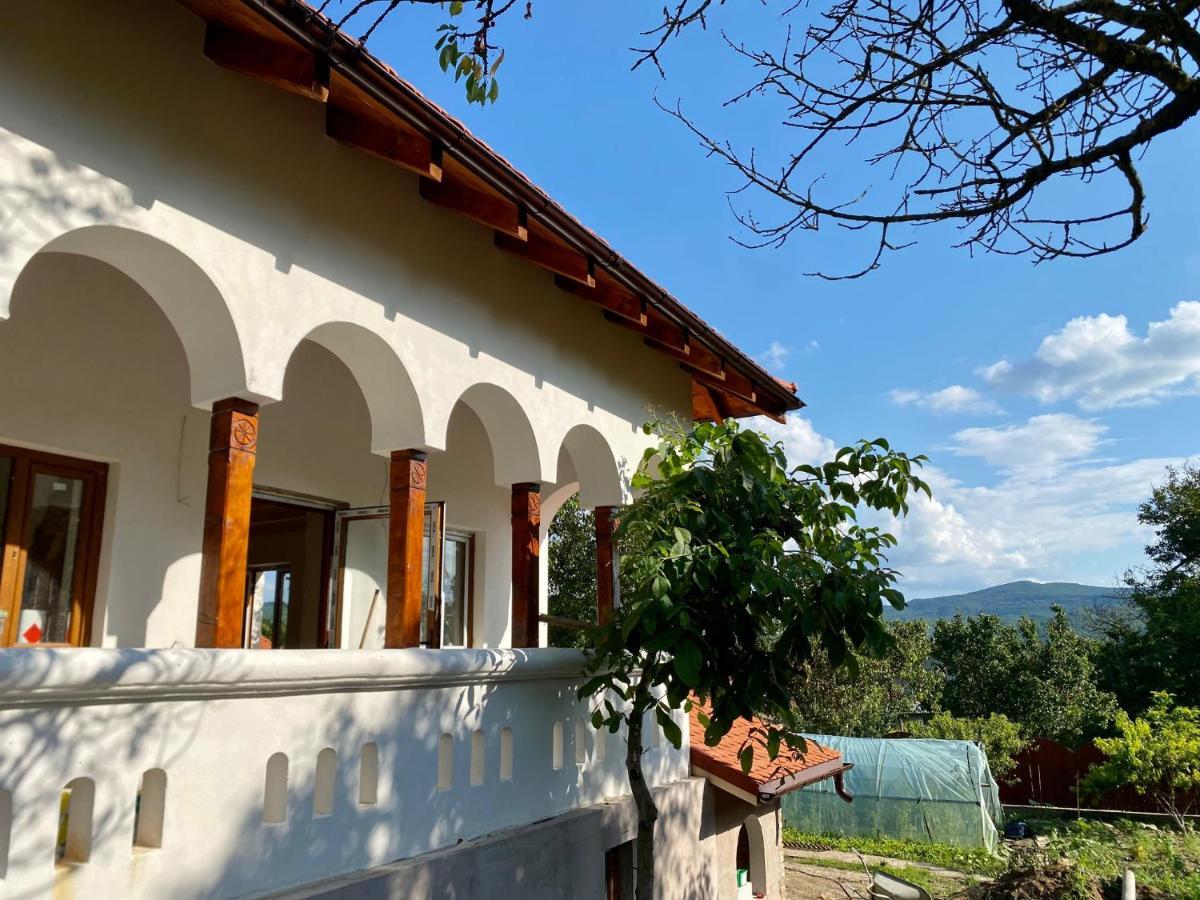 Conacul Grigorescu Ratesti Exterior foto