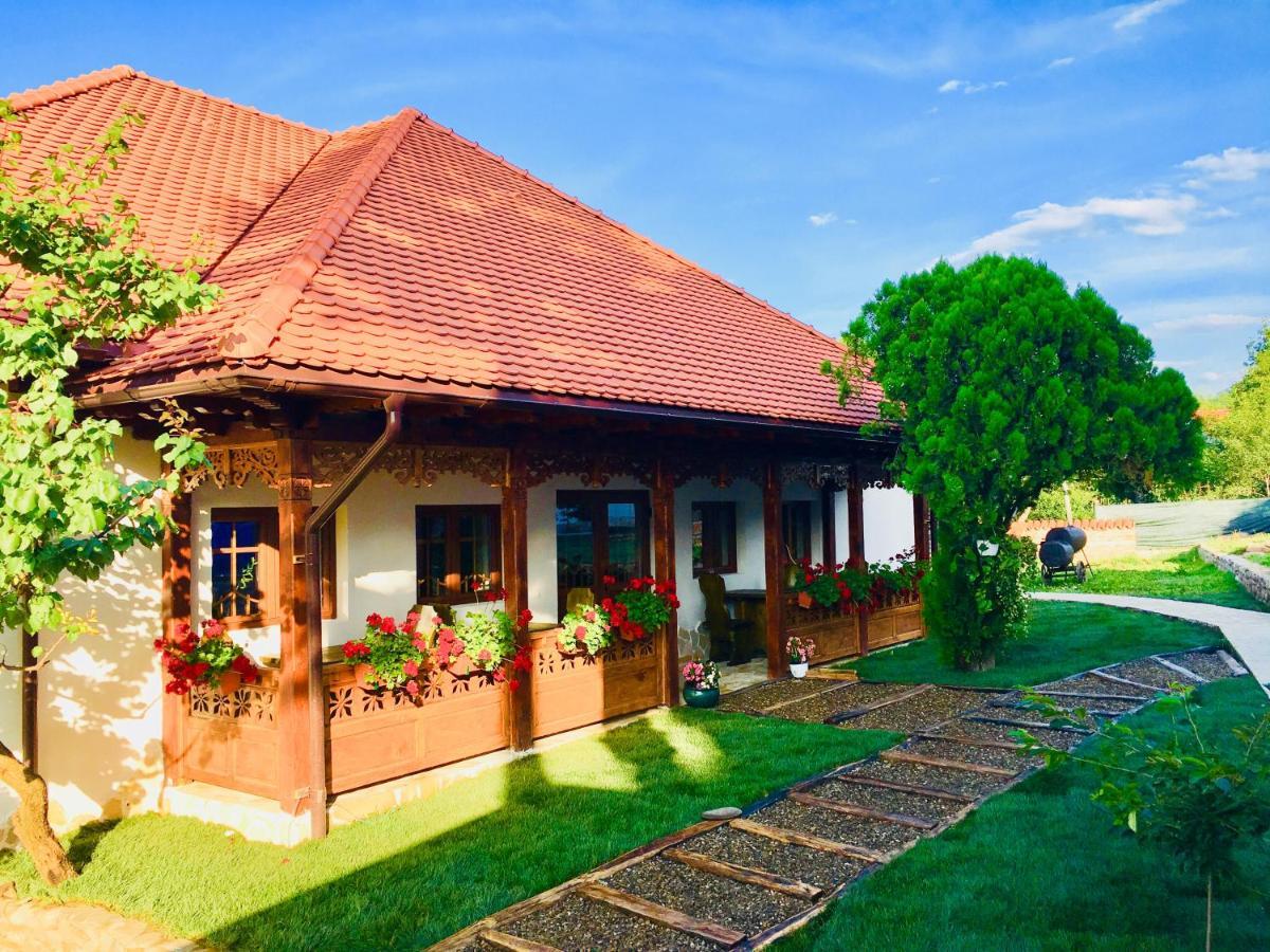 Conacul Grigorescu Ratesti Exterior foto
