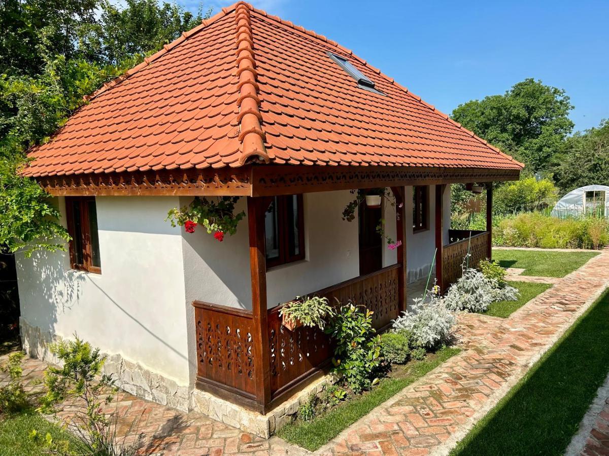 Conacul Grigorescu Ratesti Exterior foto