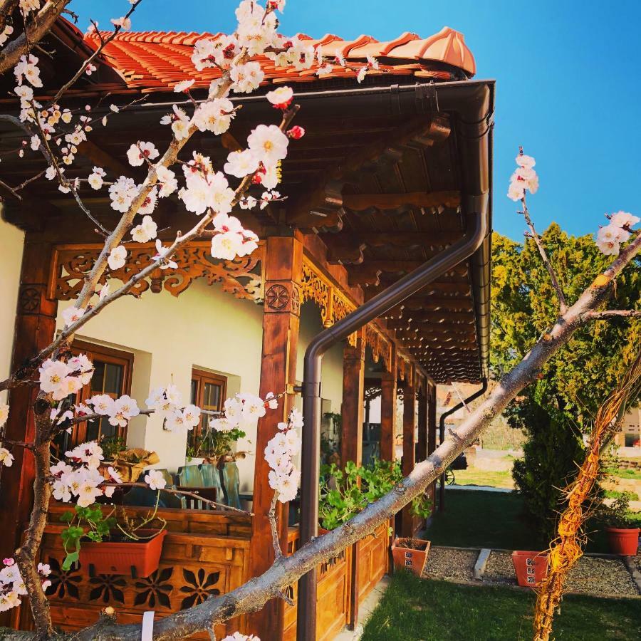 Conacul Grigorescu Ratesti Exterior foto