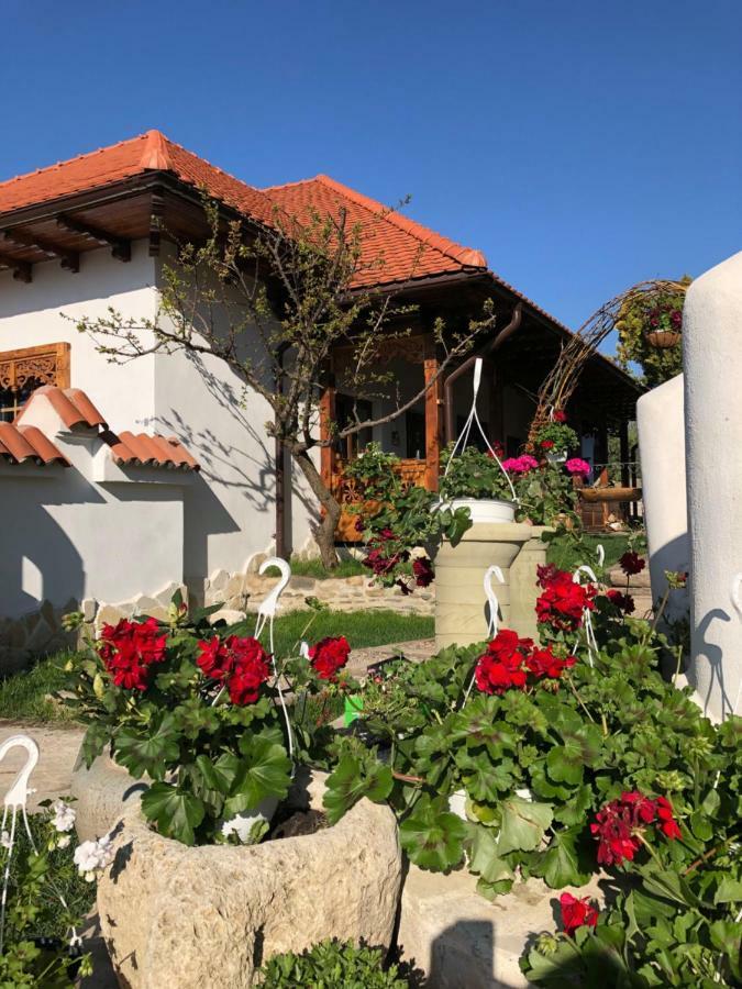 Conacul Grigorescu Ratesti Exterior foto